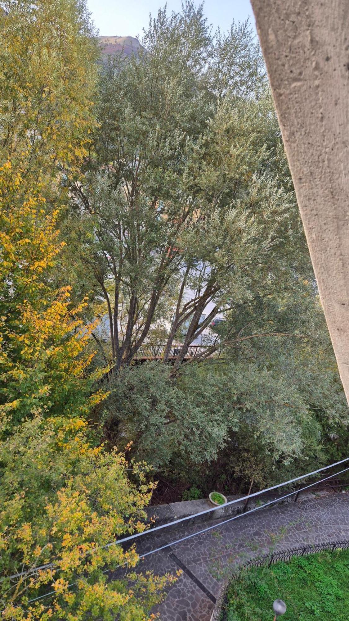 Appartamento Zia Peppa Castel Di Sangro Esterno foto